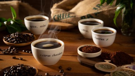 Вкусовые нотки в кофе: Что это и откуда берутся ароматы?