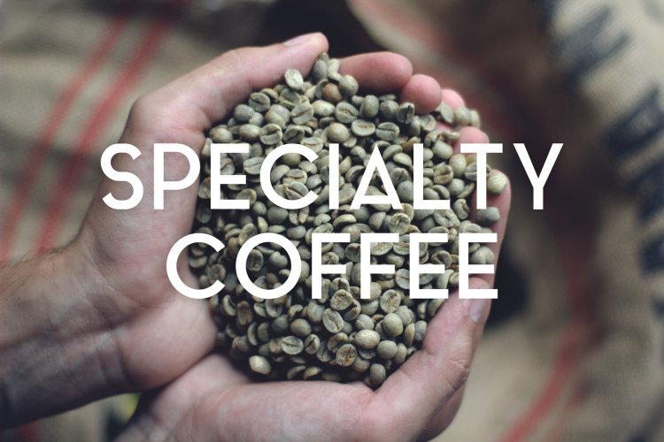 Что значит specialty coffee: философия, контроль качества и отличие от обычного кофе