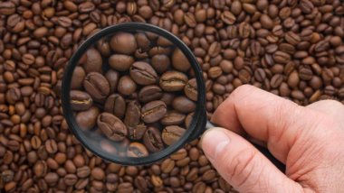 Как выбирают кофе профессионалы: оценка до обжарки